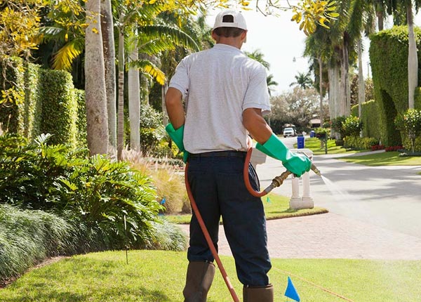 About De Young PA Pest Control